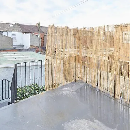 Marshlands 레드카